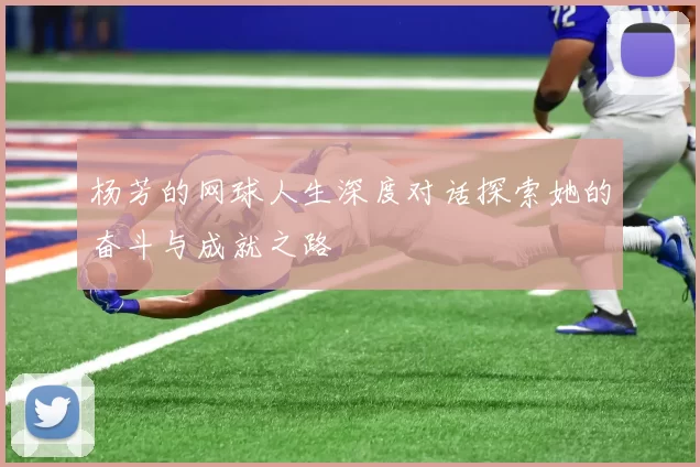 杨芳的网球人生深度对话探索她的奋斗与成就之路