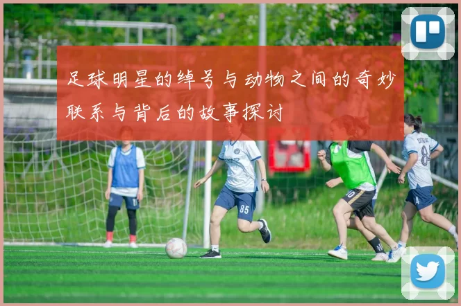 足球明星的绰号与动物之间的奇妙联系与背后的故事探讨
