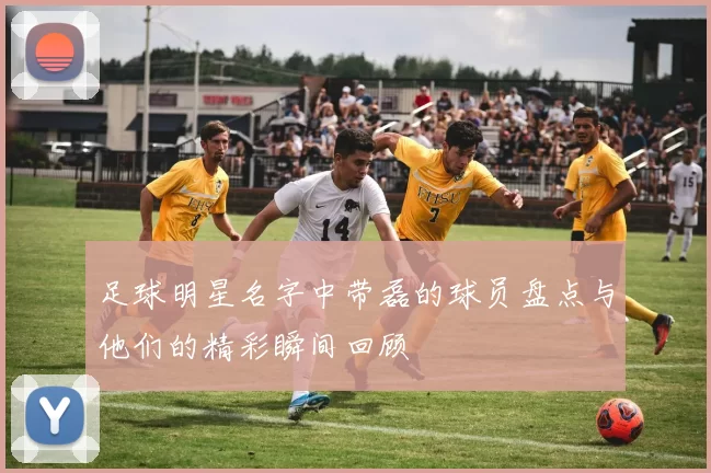 足球明星名字中带磊的球员盘点与他们的精彩瞬间回顾