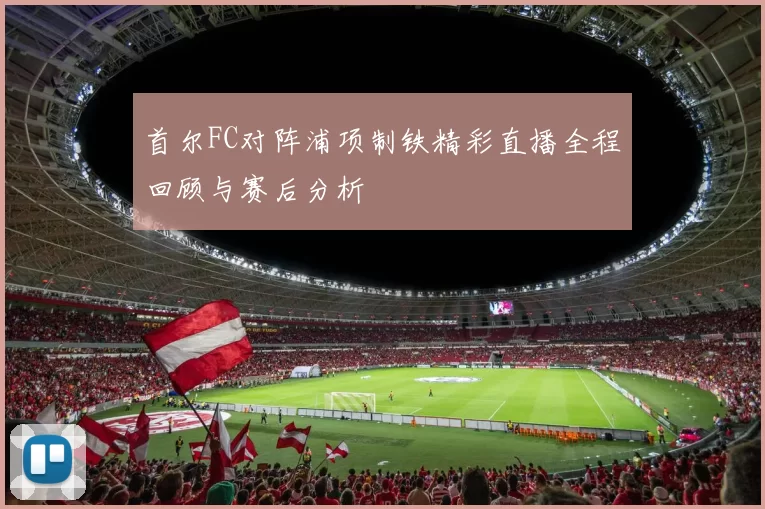 首尔FC对阵浦项制铁精彩直播全程回顾与赛后分析
