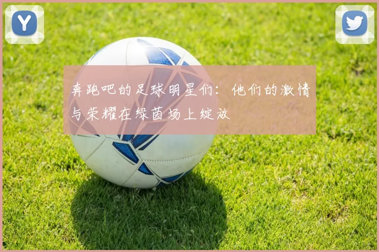 奔跑吧的足球明星们：他们的激情与荣耀在绿茵场上绽放
