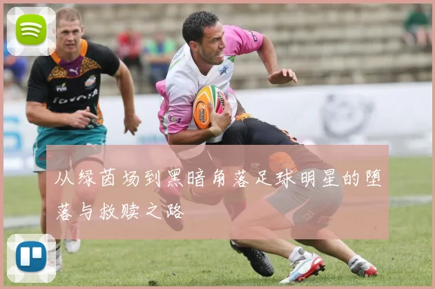 从绿茵场到黑暗角落足球明星的堕落与救赎之路