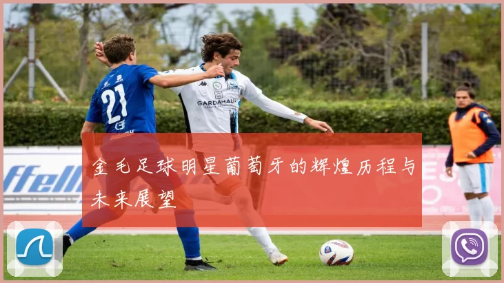 金毛足球明星葡萄牙的辉煌历程与未来展望