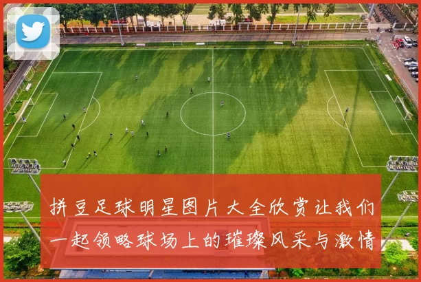 拼豆足球明星图片大全欣赏让我们一起领略球场上的璀璨风采与激情瞬间