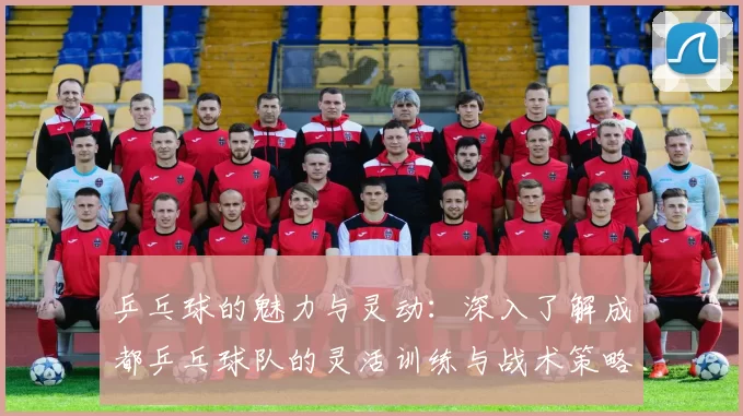 乒乓球的魅力与灵动：深入了解成都乒乓球队的灵活训练与战术策略