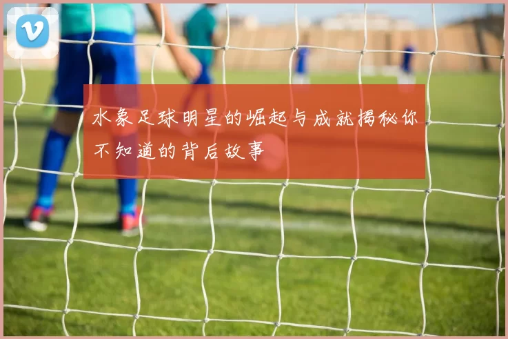 水象足球明星的崛起与成就揭秘你不知道的背后故事