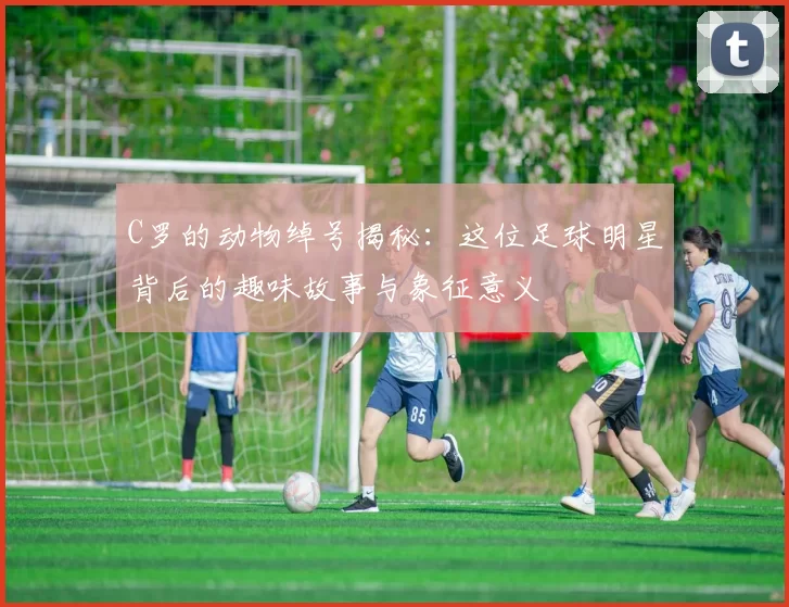 C罗的动物绰号揭秘：这位足球明星背后的趣味故事与象征意义
