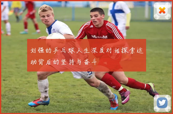 刘强的乒乓球人生深度对话探索运动背后的坚持与奋斗