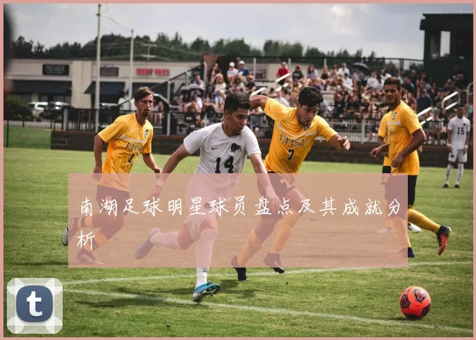南湖足球明星球员盘点及其成就分析