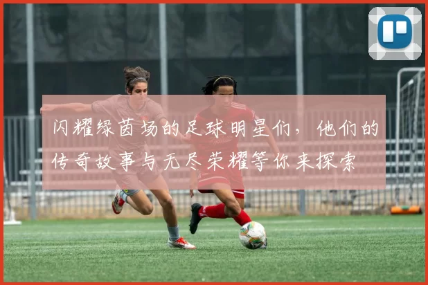闪耀绿茵场的足球明星们，他们的传奇故事与无尽荣耀等你来探索