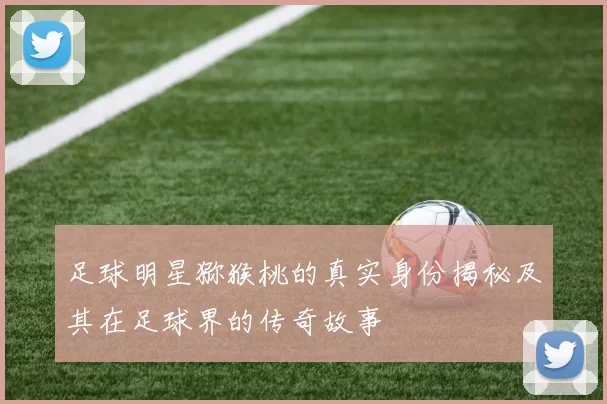 足球明星猕猴桃的真实身份揭秘及其在足球界的传奇故事