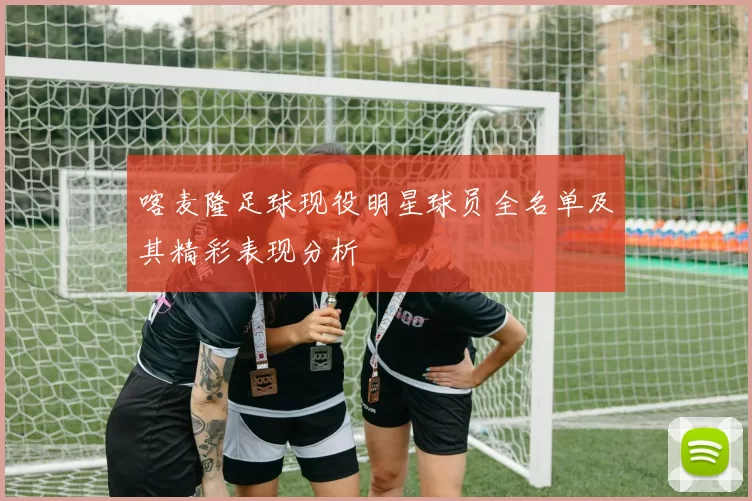 喀麦隆足球现役明星球员全名单及其精彩表现分析