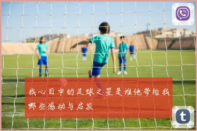 我心目中的足球之星是谁他带给我哪些感动与启发