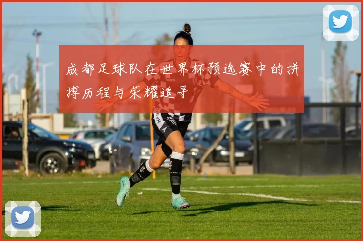成都足球队在世界杯预选赛中的拼搏历程与荣耀追寻